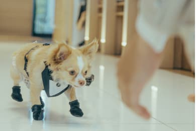 THE SURF OCEAN TERRACEウエディングレポートの画像