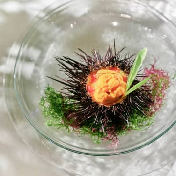 カノビアーノ福岡料理コース画像