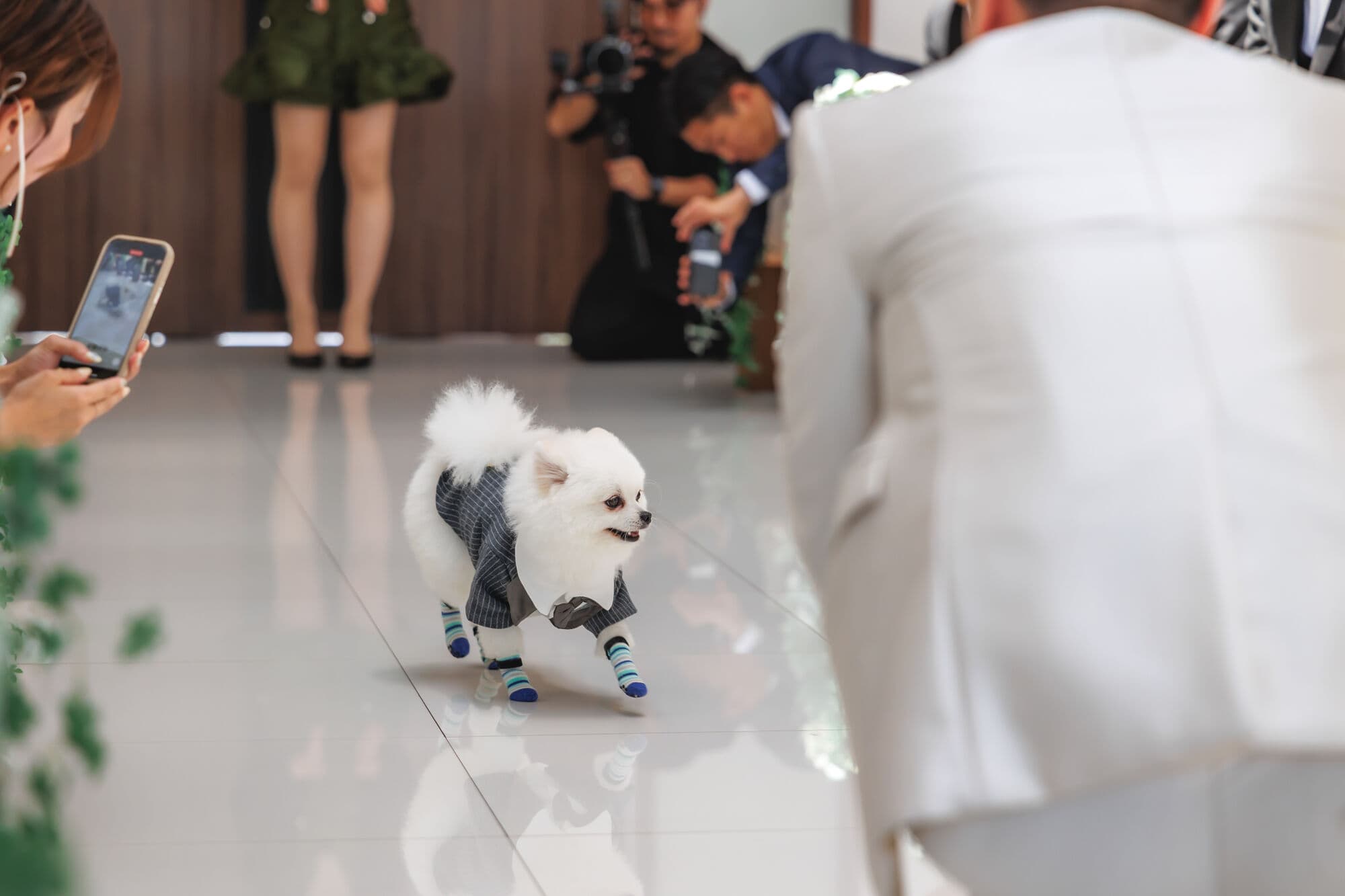 THE MEETS MARINA TERRACEウエディングレポートの画像